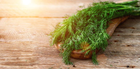 Bunch of fresh organic dill on wooden background with copyspace, rustic and vintage style, selective focus