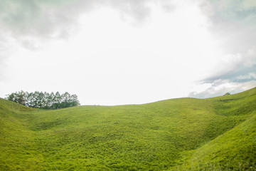 Beautiful  landscape view of green grass  with  sky  background in Utsukushigahara park is  one of the most important and popular natural place in Nagano Prefecture , Japan.