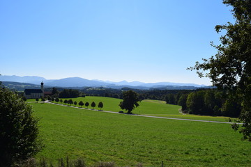 Obraz premium Kapelle in Grüner Landschaft