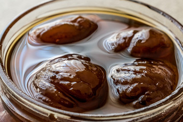 Turkish Chestnut Dessert in jar / Kestane Sekeri