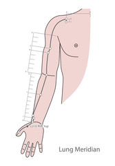 Drawing Acupuncture Point LU10 Yuji, 3D Illustration