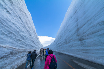  snow wall of  Tateyama Kurobe Alpine Route or Japanese Alps with blue sky  background is  one of...