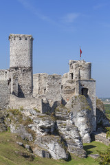 Fototapety na wymiar - Fototapeta24.pl