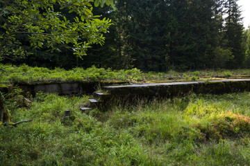 Ruin of the old building overgrown with moss and grass. 