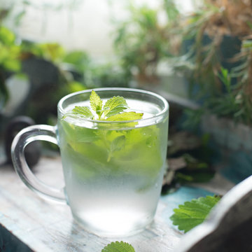 Mint tea with fresh mint leaves. Closeup