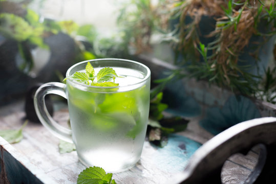 Mint tea with fresh mint leaves.