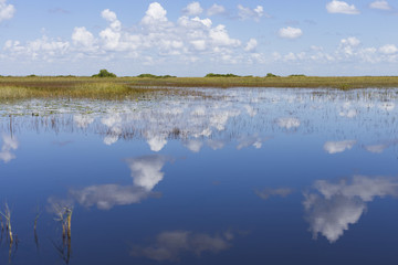 wetland