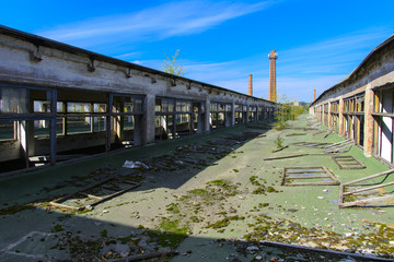 The destroyed building of the factory workshop, which worked in the defense industry of Ukraine. The trees grew on the roof. Robbery and an act of vandalism. September 2017
