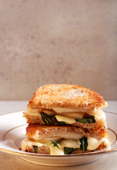 grilled bran bread sandwich