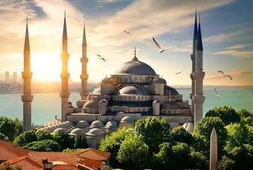 Möwen über der Blauen Moschee © Givaga