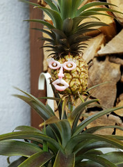 Ananas mit Gesicht