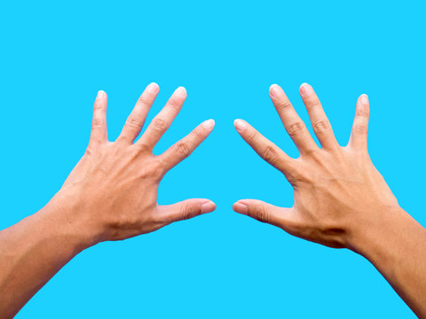 Left Hand And Right Hand Isolated On Blue Background