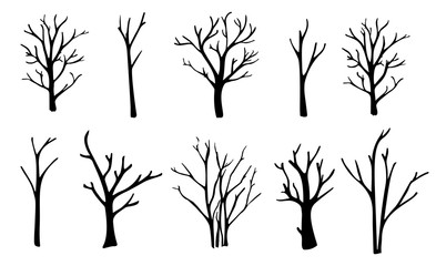 Naked trees silhouettes set. Hand drawn isolated illustrations. - 173449934