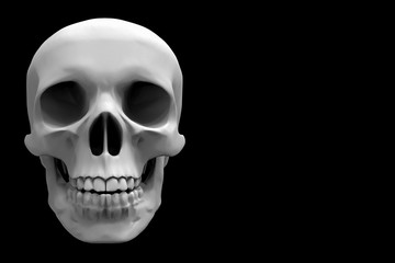 3d rendering. White human skull head bone isolated on Black background with clipping path. Halloween concetp