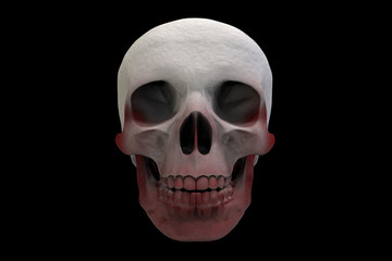 Fototapeta premium 3d rendering. White human skull head bone which painted with red blood, isolated on black background 