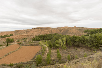 For the desert of the monegros in Teruel