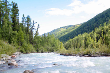 Russia, Republic of Altai. Very beautiful pictures of nature in Altai High snow-capped mountains, fast, noisy mountain rivers, beautiful meadows and fields and woods - the nature of mountain Altai