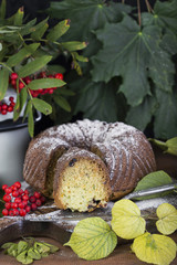 autumn cake with powdered sugar