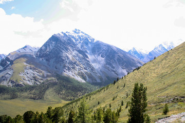 Fototapeta premium Russia, Republic of Altai. Very beautiful pictures of nature in Altai High snow-capped mountains, fast, noisy mountain rivers, beautiful meadows and fields and woods - the nature of mountain Altai