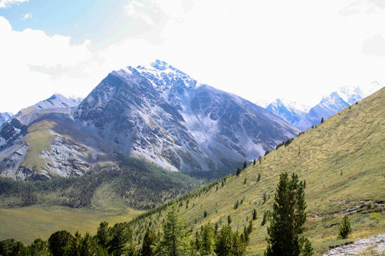 Russia, Republic of Altai. Very beautiful pictures of nature in Altai High snow-capped mountains, fast, noisy mountain rivers, beautiful meadows and fields and woods - the nature of mountain Altai