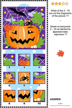 Halloween themed visual logic puzzle with pumpkin, bats and spider: What of the 2 - 10 are not the fragments of the picture 1?  Answer included.
