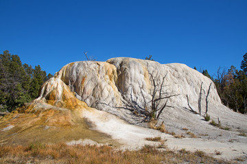 Mammoth hot springs