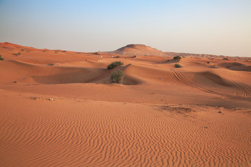 Red sand desert