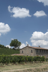 Rural landscape in Romagna (Italy)