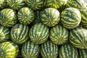 striped watermelon