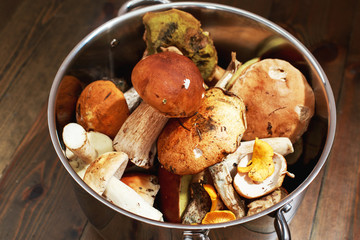 forest mushrooms in a basket on a wooden background