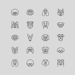 Dog breeds Vector Collection