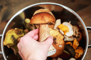 forest mushrooms in a basket on a wooden background. mushroom boletus in hand