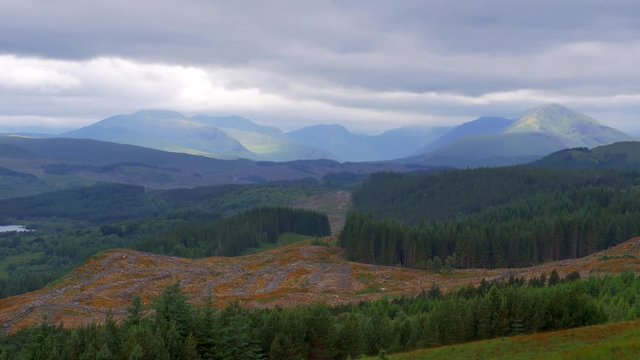 Highlands, Scottish Forest - Graded Version