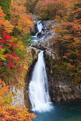 Fototapeta premium 法体ノ滝