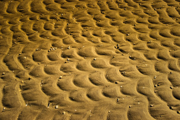 Sand Patterns