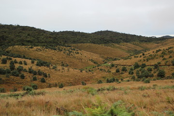 Obraz premium Sri Lanka