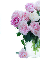 Fresh peony flowers colored in shades of pink in vase isolated on white background close up