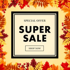 Autumn super sale banner with maple autumn leaves, gold element and outline. Vector fall poster ,label, flyer and shopping vol 14