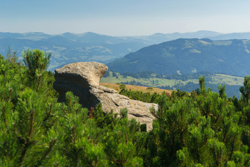 Fototapeta na wymiar Carpathians nature