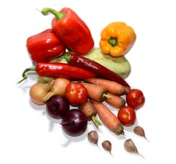 set of colorful ripe vegetables on the white background