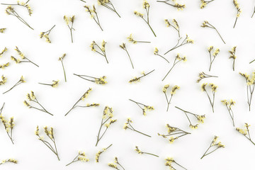 Yellow limonium caspia flowers pattern on white background