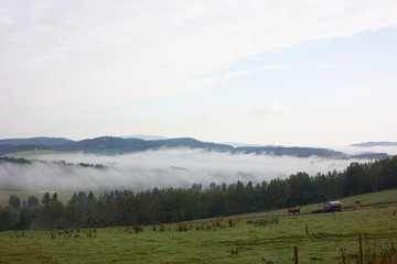 Morning view of countryside.