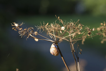 Autumn in Skåne