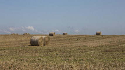 Fototapeta premium Skåne landscape in autumn