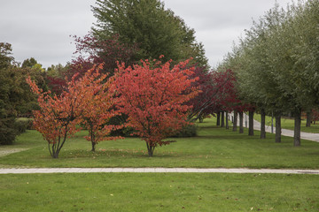 Autumn in Skåne