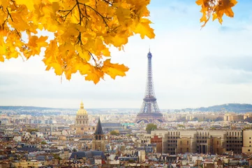 Gordijnen skyline of Paris city with eiffel tower from above at fall, France, toned © neirfy