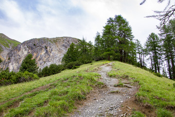 Fototapeta na wymiar Trail in Swiss Alps during a hiking day in Summer in Engadin, Switzerland