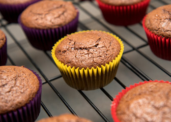 Cupcake in vibrant yellow wrapper cooling on rack