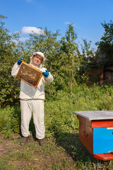 beekeeper with honeycomb in the apiary