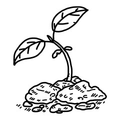 plant sprout / cartoon vector and illustration, black and white, hand drawn, sketch style, isolated on white background.